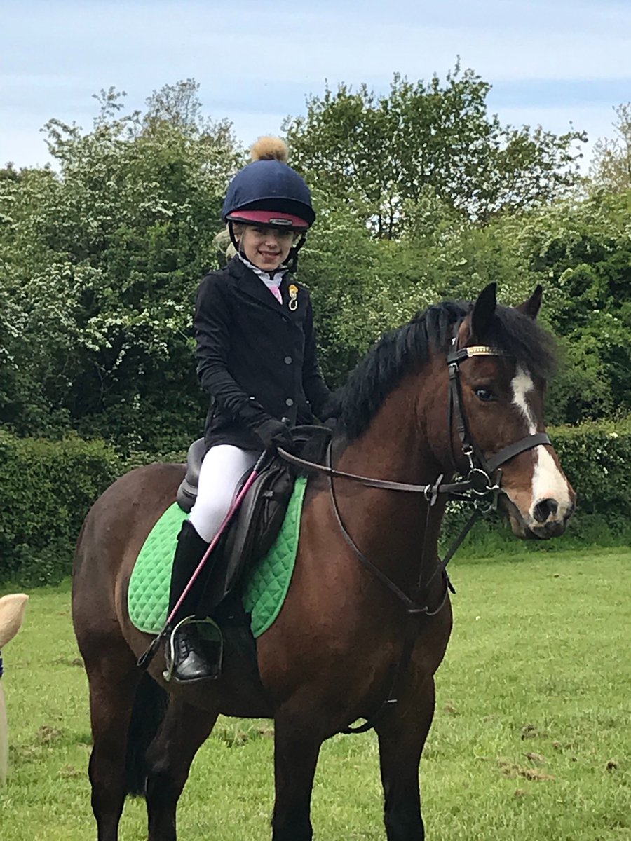 Golden Castle Riding Stables tweet media