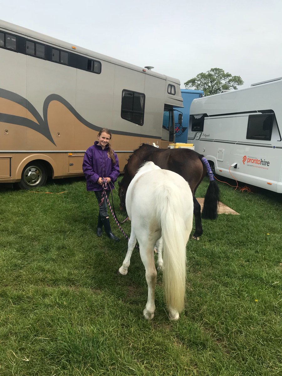 Golden Castle Riding Stables tweet media