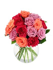 Kimhagood4's tweet photo. Happy Mother's day too all y'all hard working mom's. Have a bless one! https://t.co/3GVXzSjJ5t