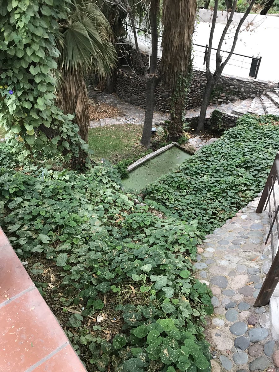 bonvino_ar's tweet photo. #ViñasHeroicas es un proyecto de la Familia Brennan en los Baños de #lulunta en el que se desarrollará una bodega, un restó, villas de lujo y un circuito de turismo propio. Felicitaciones !! Y agradecidos por ser testigos de este emprendimiento. https://t.co/IOKfhY2tq9