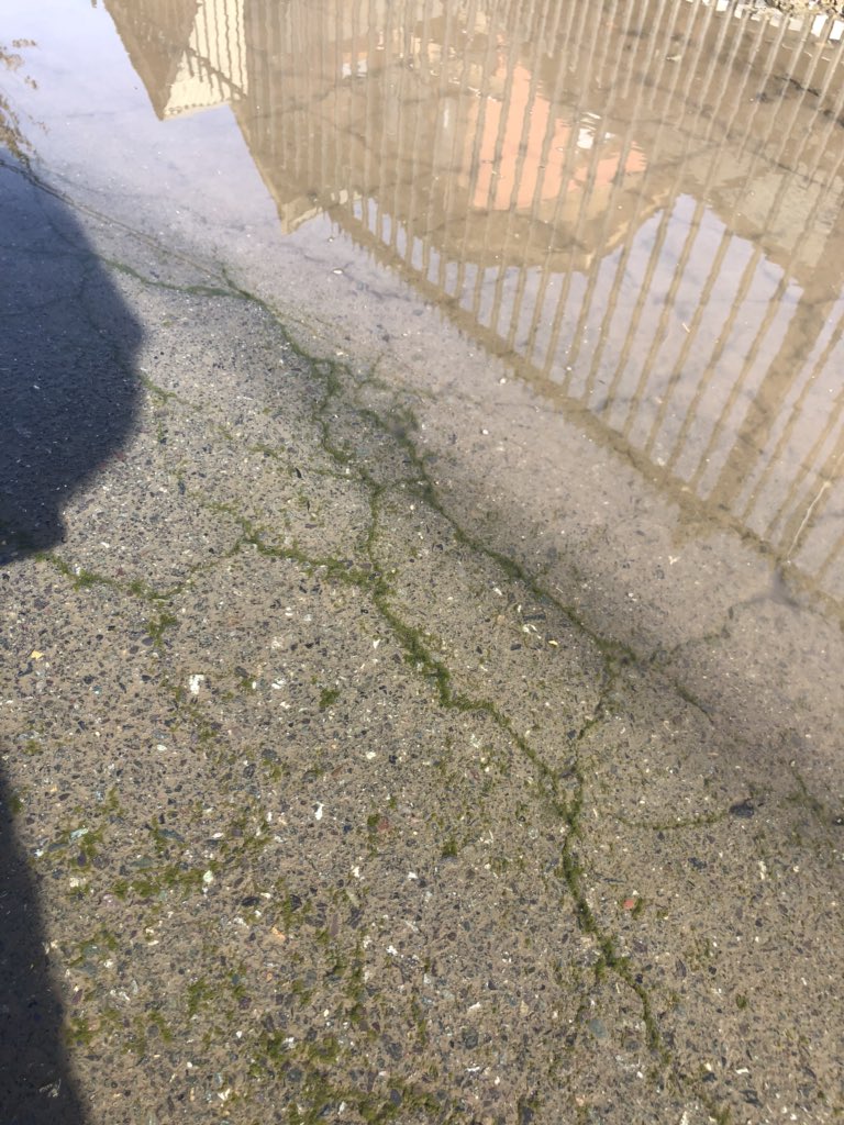 <a href="/SISS_CHILE/">SISS</a>  <a href="/maipu_chile/">Municipalidad Maipú</a> <a href="/Bienvenidos13/">Bienvenidos13</a> <a href="/MuchoGustoMEGA/">¡Mucho Gusto!</a> <a href="/matinaldechv/">La Mañana de Chilevisión</a> <a href="/BuenosDiasTVN/">Buenos Días a Todos</a> <a href="/24horasnoticias/">24 horas.cl</a> <a href="/T13/">T13</a> <a href="/CHVNoticiascl/">CHV Noticias</a> <a href="/ahoranoticiasAN/">Ahora Noticias</a> hay multas a la empresa por no prestar el servicio como lo exige la ley? <a href="/SMAPA_MAIPU/">SMAPA</a> nunca se ha pronunciado en todo este tiempo.