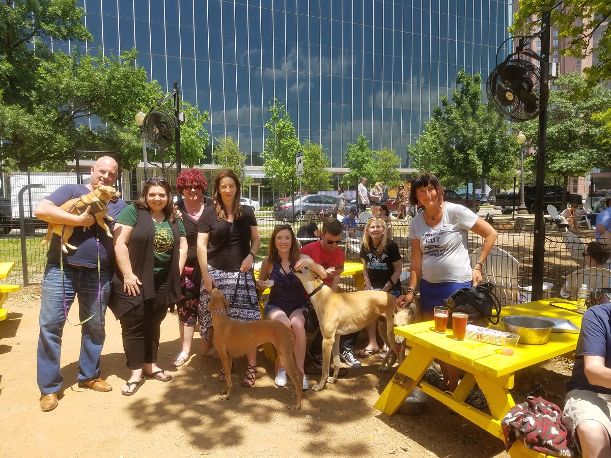 Pints4Pups's tweet image. Plenty of @GaltxOrg greyhounds and @CommunityBeerCo Mosaic IPA happening now!  @MuttsCantina