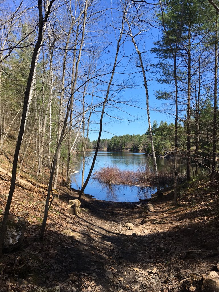bucknleaf's tweet image. Enjoying a pre-trip planning #paddle to #McRae Lake ahead of the #SHSM student #canoe trip in early June @OntarioParks