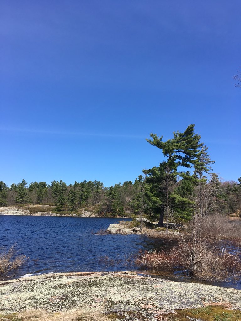 bucknleaf's tweet image. Enjoying a pre-trip planning #paddle to #McRae Lake ahead of the #SHSM student #canoe trip in early June @OntarioParks