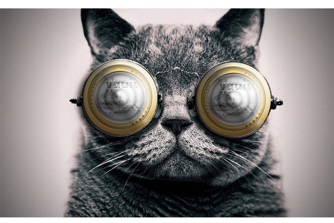 We are the 1st Company to offer Private Numbered Safe Deposit Boxes for Cryptocurrency. We will say it again, we are the Fat Cats. We are the first ever to offer Private Numbered Safe Deposit Boxes for Cryptocurrency.  #cryptocurrency #bitcoin #cryptoexchange #vault8_net