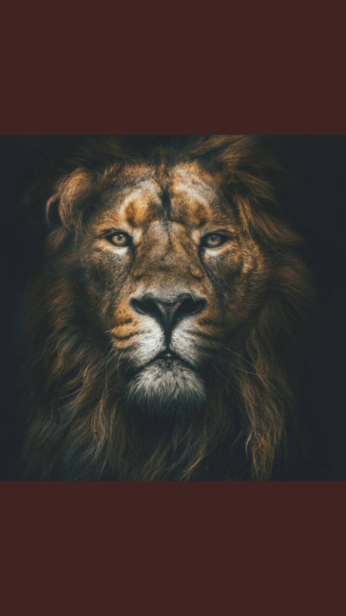 Chaddain1's tweet photo. Before you can critique me in anyway please do all the things I fucken did.
Who woke up the game if it wasn’t me??
Whooo woke hey hey hey, who woke up the game?
Who put niggas on?
How far would you niggas have gone?
If I wasn’t involved, ask chad da don. @CassperNyovest 🔥🔥🔥 https://t.co/U33fTmIP6x