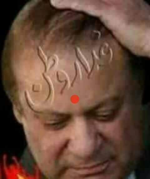 PathaniGull tweet picture