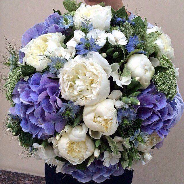 ХОРОШЕЙ НЕДЕЛИ ВСЕМ: