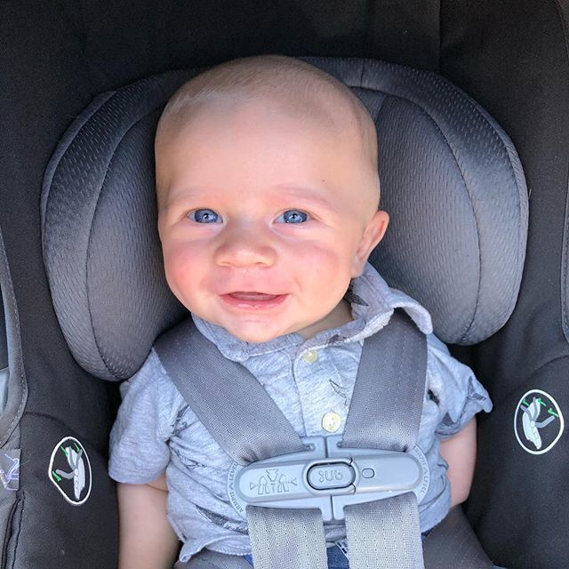 HelloHomesGroup's tweet photo. He gets all the heart eyes today! 😍😍😍 #holdenroberthobbs https://t.co/YszFRyx24r