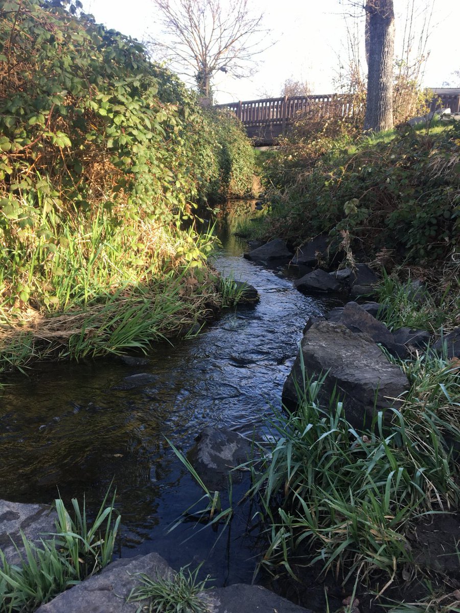 lkailani's tweet photo. On Moving to Oregon … the Why. https://t.co/WSugJCtAf3 https://t.co/50BDT0aYvV
