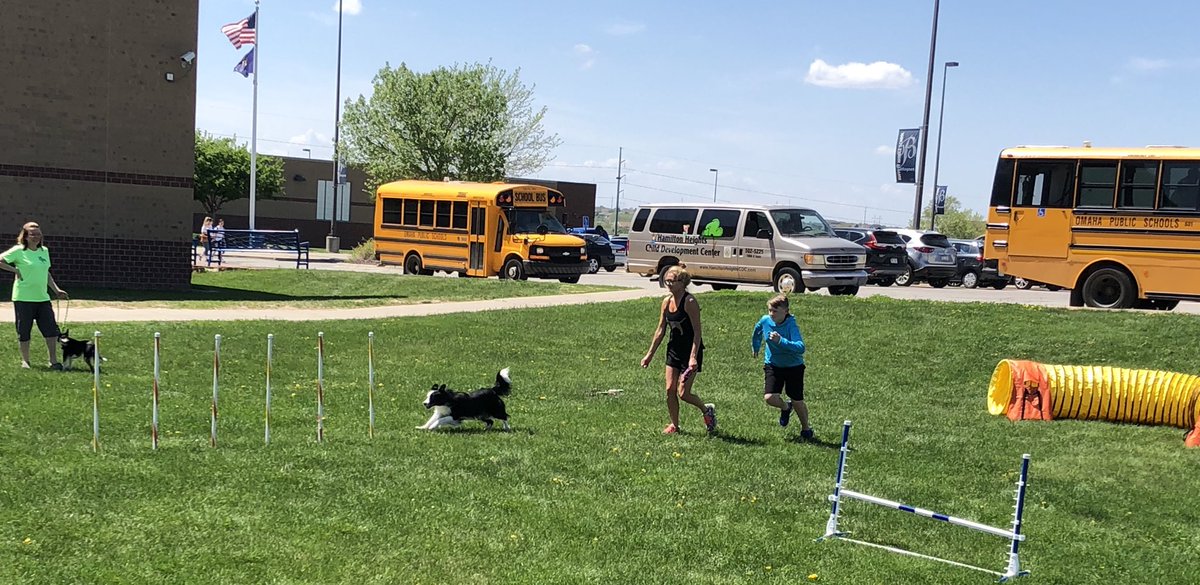 BuffettCares's tweet photo. 5/6 Dog Training Club members got some exciting experiences on the Agility Course as Junior Handlers this week! https://t.co/1IqHNhpPyg