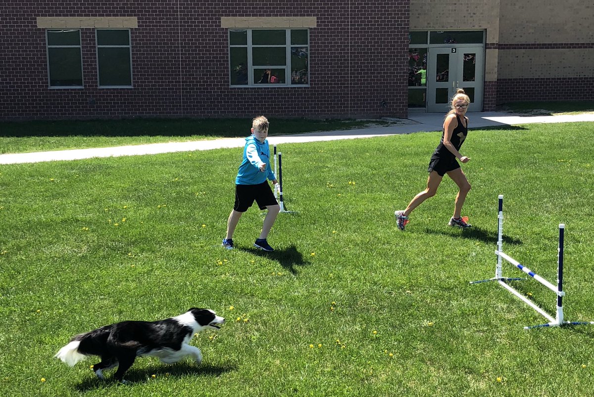 BuffettCares's tweet photo. 5/6 Dog Training Club members got some exciting experiences on the Agility Course as Junior Handlers this week! https://t.co/1IqHNhpPyg