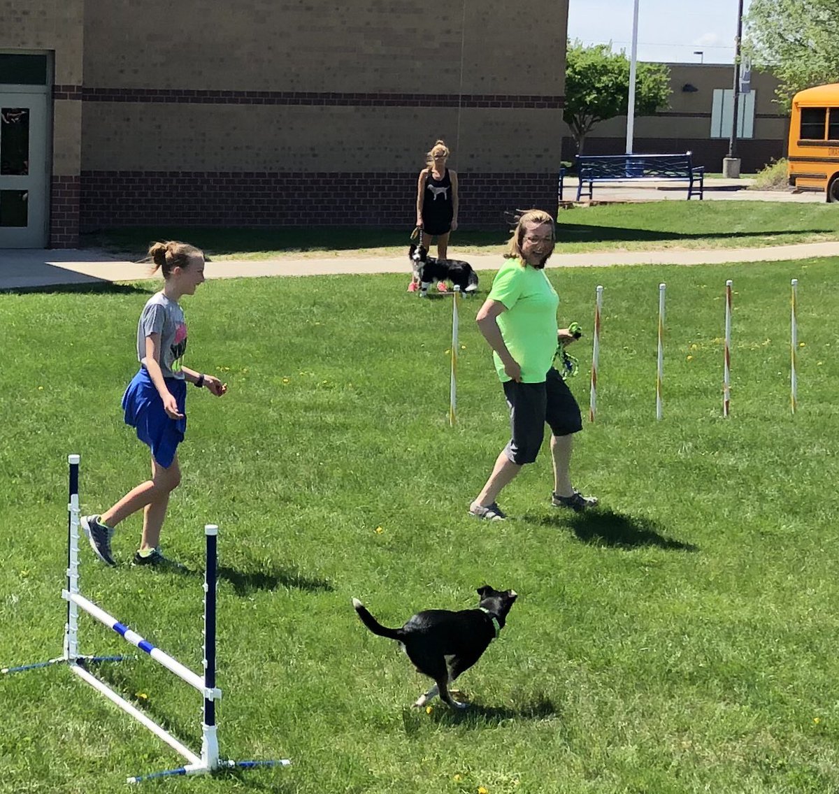 BuffettCares's tweet photo. 5/6 Dog Training Club members got some exciting experiences on the Agility Course as Junior Handlers this week! https://t.co/1IqHNhpPyg