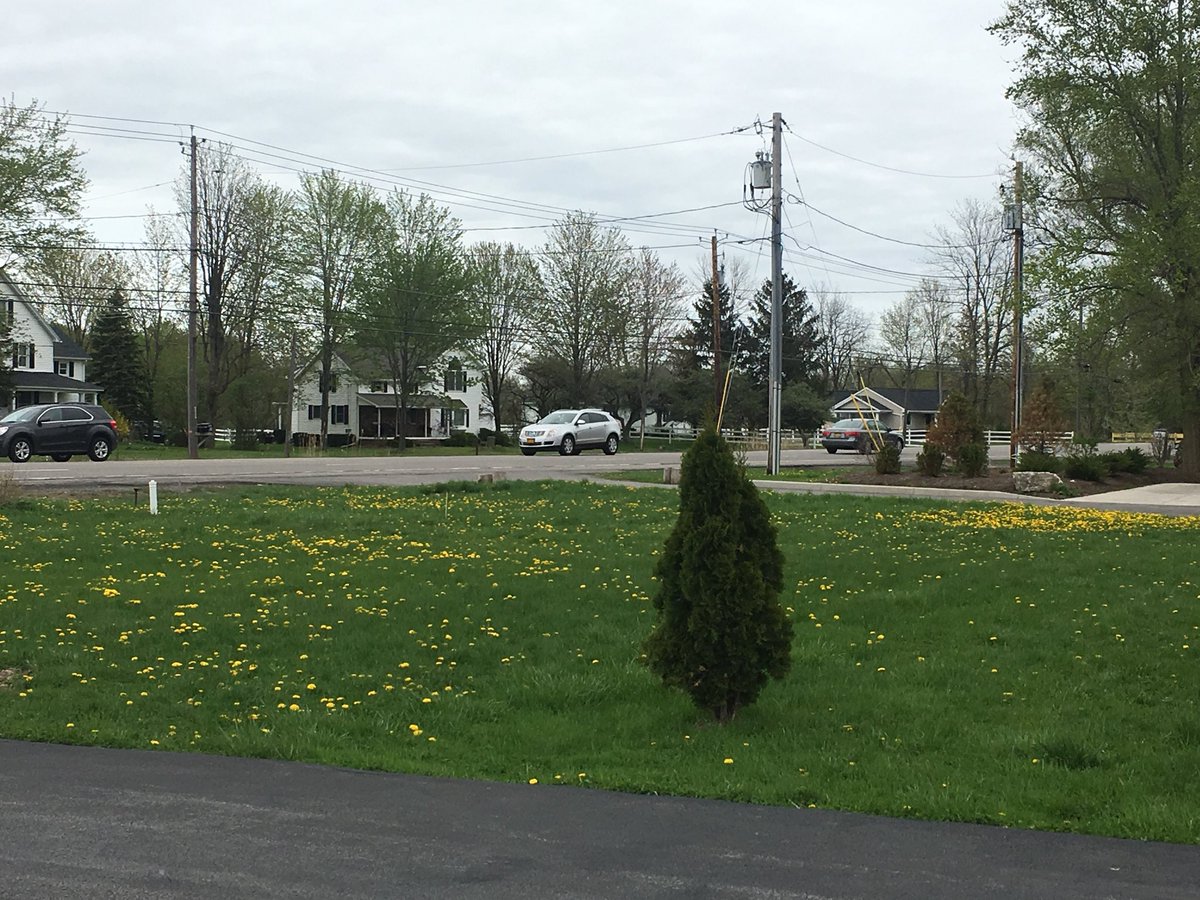 pkkanth's tweet image. On the way to Niagara Falls

#longdrives #weekendgateways #naigarafalls