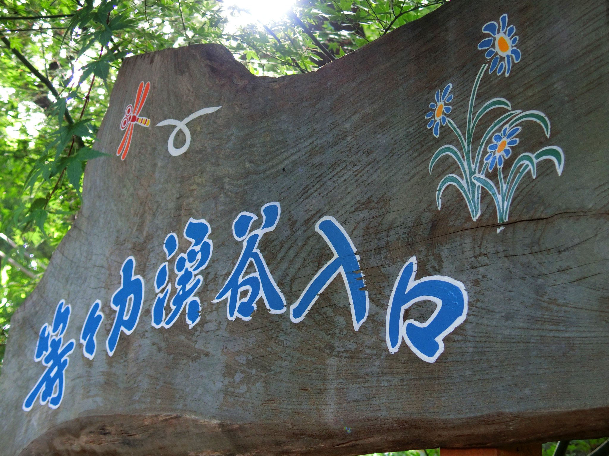 いちげんさん 等々力渓谷 コミック版 東京シャッターガール にもでてきた場所 東京シャッターガール 桐木憲一 いちげんさん 等々力渓谷 コミック版 東京シャッターガール にもでてきた場所 東京シャッターガール 桐木憲一