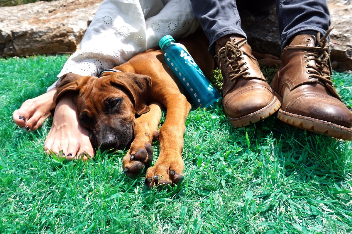 wanulife's tweet photo. The perfect Saturday ☺️🐶 What are you all getting into today? https://t.co/6piJ1mFcnY