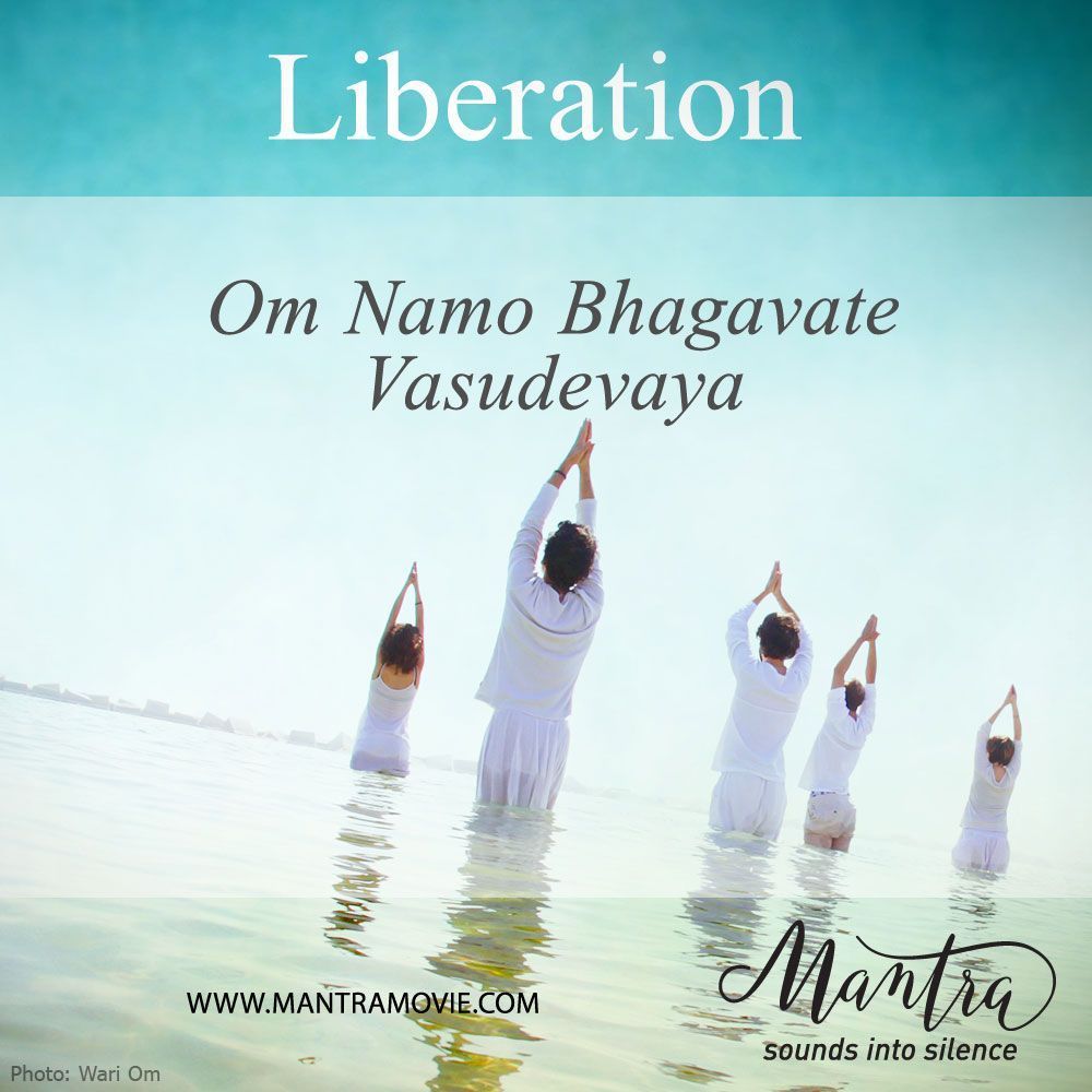 mantramovie's tweet photo. Experience the vibrations, sounds and silence of #MantraMovie with us. Om Namo Bhagavate Vasudevaya: ॐ नमो भगवते वासुदेवाय. Freedom. Liberation. 
.
.
.
#MantraMovie #SoundsintoSilence #chanting #freedom #liberation #music #meditation #om #SeetheFilm #HostAScreening #SpreadtheWord https://t.co/T8aIysqbuW
