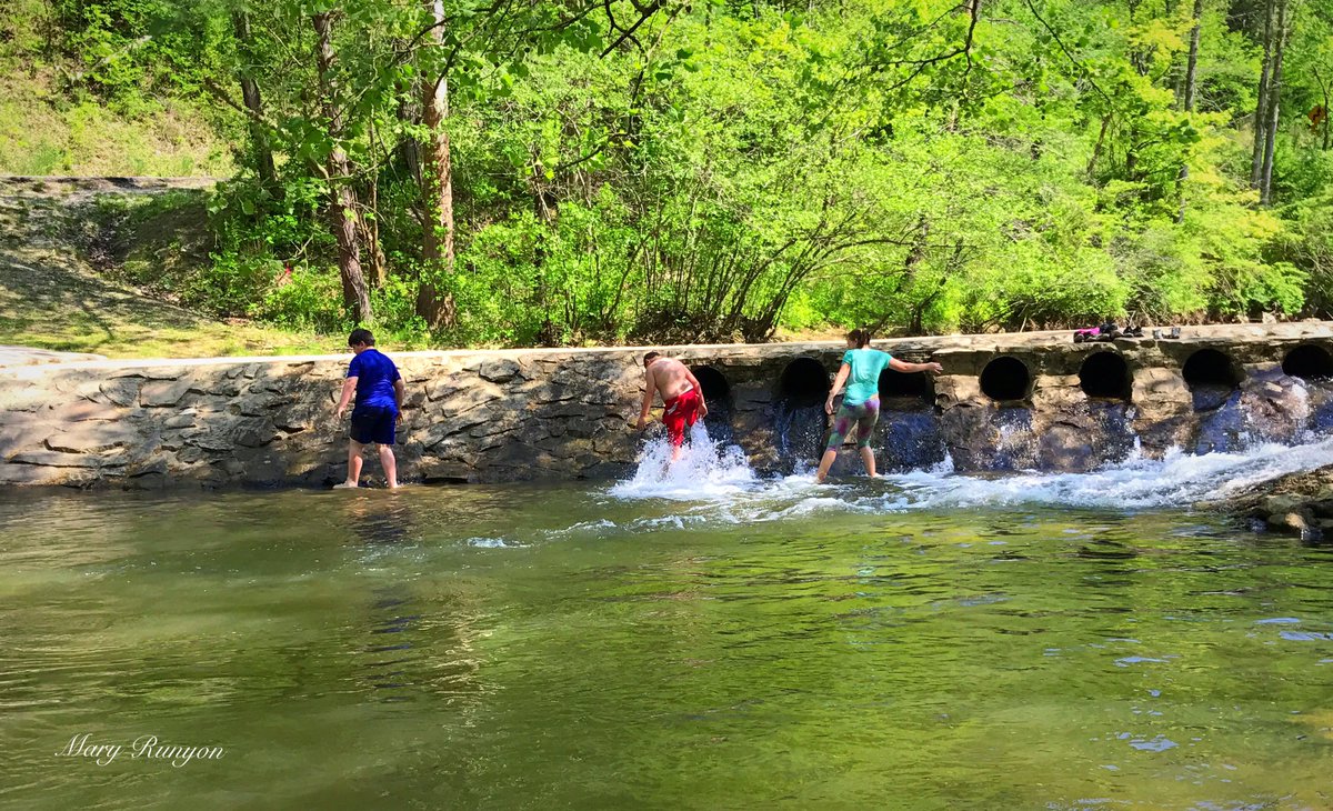 MaryReedRunyon1's tweet photo. Kids enjoying this hot day! #SladeKY @WYMT @AndrewWYMT @brobwx @AMHQ @weatherchannel @WeatherNation @JimWKYT @ChrisWKYT @Kentuckyweather @SpecNewsKY #kywx https://t.co/UtlWITbtJP