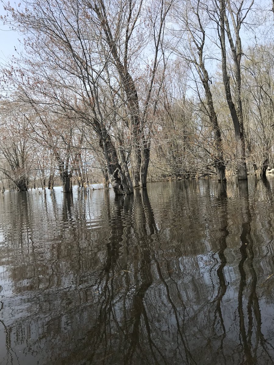 ChrisSamis1's tweet image. Great paddle through the #MinesingWetlands #NVCA today.   Thx @freespirittours.