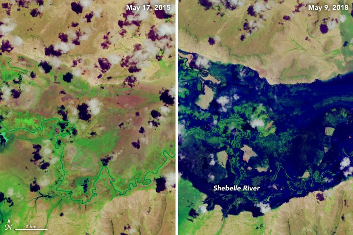 NASA's tweet photo. .@NASAEarth satellites captured the dramatic effects of heavy rains &amp; devastating floods near the Shebelle River in eastern Africa. Seen here is a relatively normal year compared with after the flooding began: https://t.co/fxl7OJNGyL https://t.co/beuJ6GfUOA