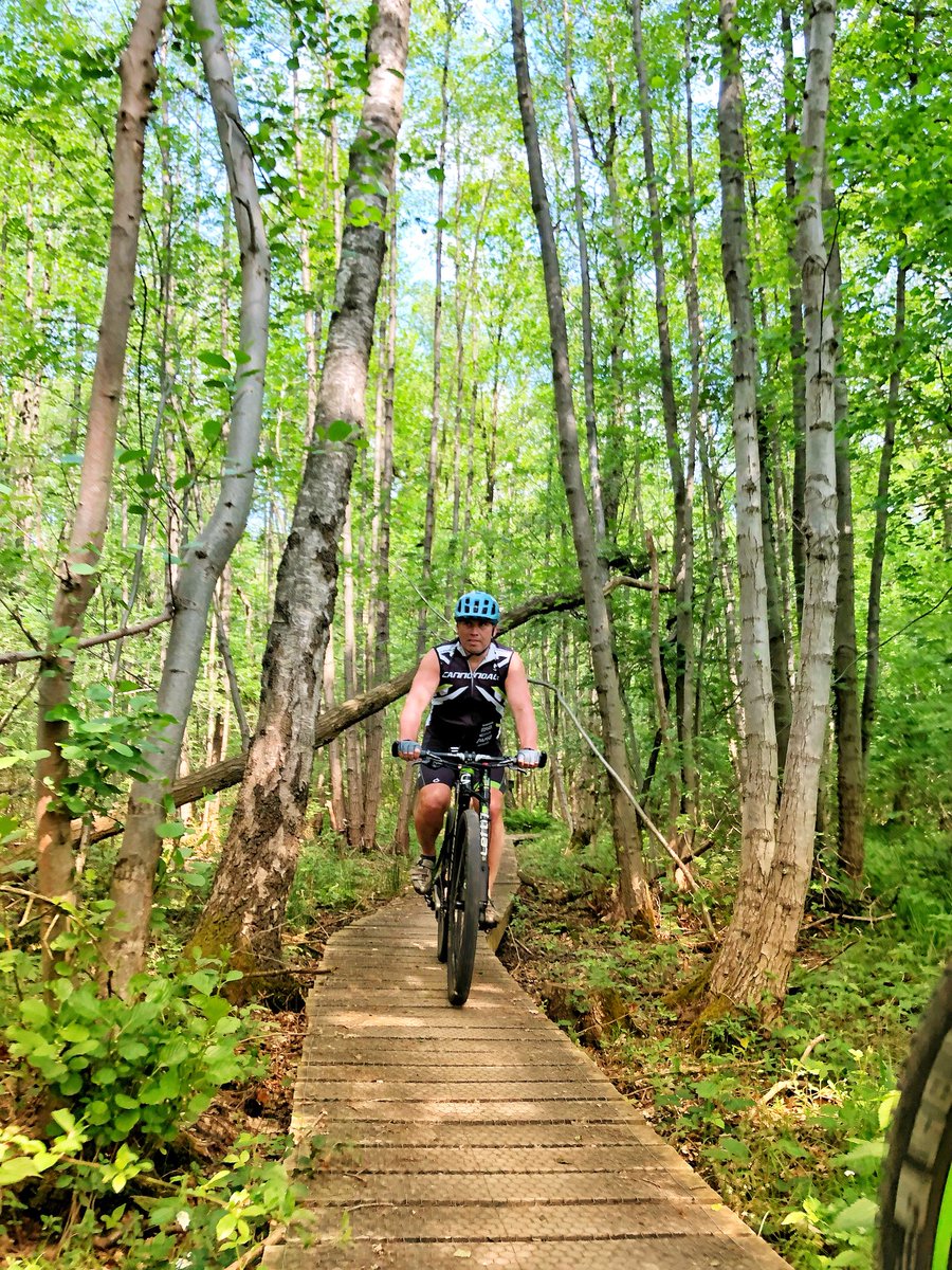 Maarten Nijland tweet media