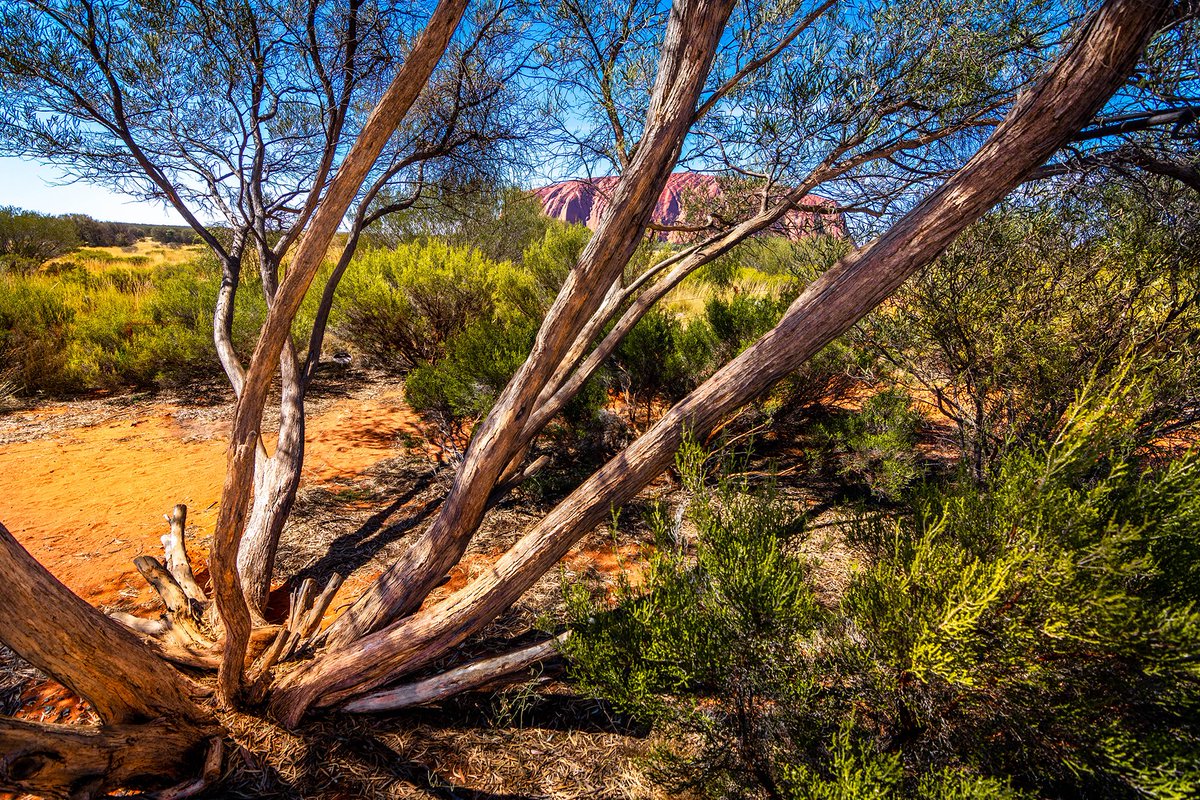 GrantKinkead's tweet photo. Ayers Rock, Northern Territory, Australia. 
#australia #northernterritory #ayersrock #uluru #photography https://t.co/maprWBW5Vv