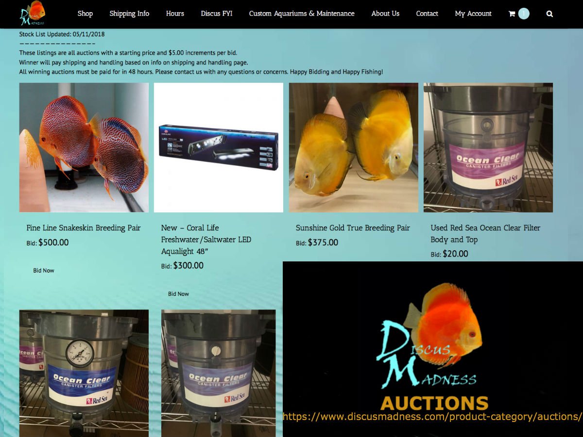 New Auction Items on DiscusMadness.com this week:
 Absolutely Stunning Fine Line Snakeskin Breeding Pair of Discus!
 Used Red Sea canisters starting at $15
 and a 48" Coral Life LED Aqualight for well under retail. 
 discusmadness.com/product-catego…