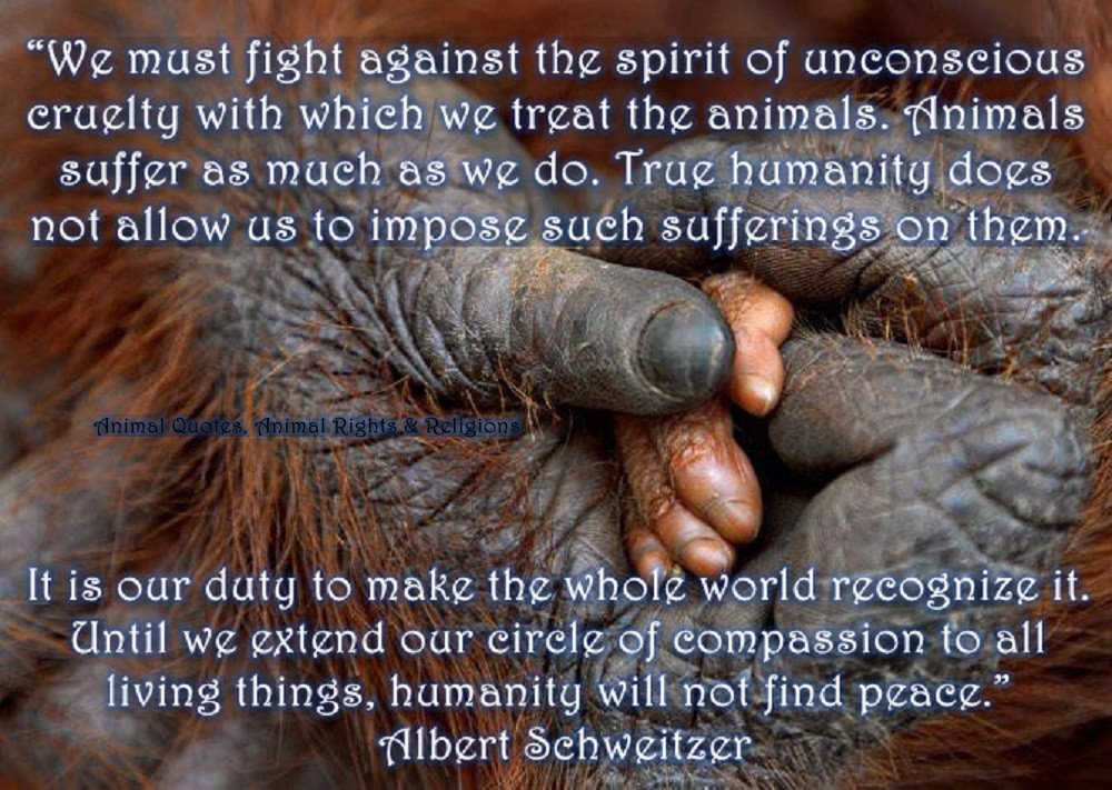 YourShiningLite's tweet photo. #StopYulin2018 #StopAnimalCruelty #StopDogCruelty #EndDogMeatTrade #BOYCOTT #CHINA #BoycottChina #Boycott #DogCatMeat #Boycotting #MadeInChina #ChineseProducts #BloodStained #Atrocities #dogsoftwitter
🔊#Calling #ImmediateDeathPenalty 4 All #DogAbusers #Dog #Thieves #Kidnappers https://t.co/OjWbE7j4H6