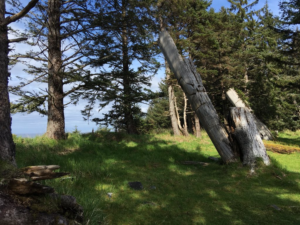Vendram1n's tweet photo. Mortuary Poles at ancient #Haida village K’uuna Gwaii. Remnants of a thriving&amp;powerful society. Decimated by contact w/Europeans, #HaidaNation rises again, working 2 bring taken  artifacts&amp;remains of ancestors, to their traditional home from museums around the world #HaidaGwaii https://t.co/deUhQ8MIvL