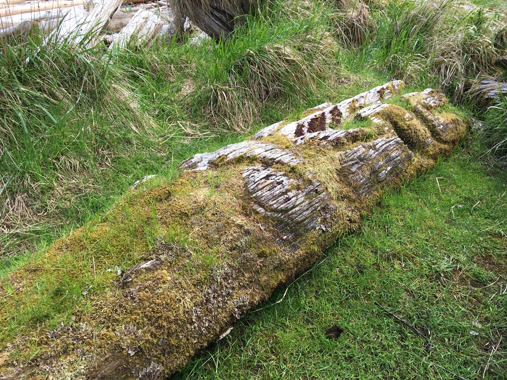 Vendram1n's tweet photo. Mortuary Poles at ancient #Haida village K’uuna Gwaii. Remnants of a thriving&amp;powerful society. Decimated by contact w/Europeans, #HaidaNation rises again, working 2 bring taken  artifacts&amp;remains of ancestors, to their traditional home from museums around the world #HaidaGwaii https://t.co/deUhQ8MIvL