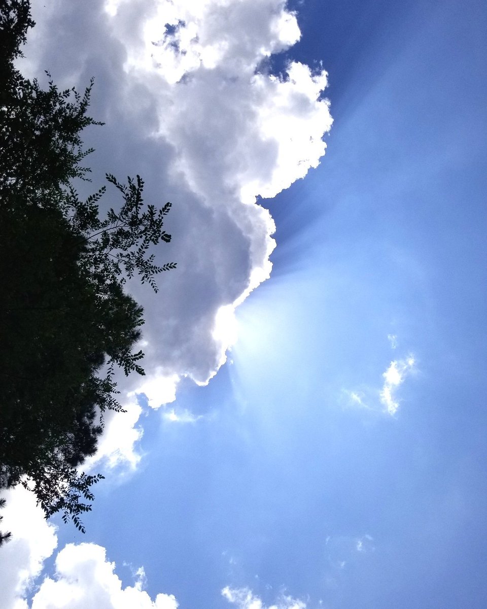 mmtxproperties's tweet photo. Not every day has to be dark... #findthelight #shine #bethereddot #youarehere #ownit #betheexpert #beunforgettable #thepowerofone #realtor #broker #investor #realestate #ilovewhatido #entrepreneur #successquotes #texasrealtor #professional #luxuryhomes #austin #austintx #houston https://t.co/mHKE6TN5R3