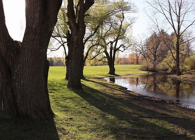 OakGov's tweet photo. A beautiful green serene spring location in #Oxford. This beautiful photo in #OaklandCounty was captured by @thenorthernstory. .
.
.
.
.
#OxfordMI #PureMittigan #PureMichigan #SpringInTheMitten #MichiganLife #MichiganLove #MittenLife #MittenLove #Michiga… https://t.co/3nOxbGdMws https://t.co/mR0PTtJc2f
