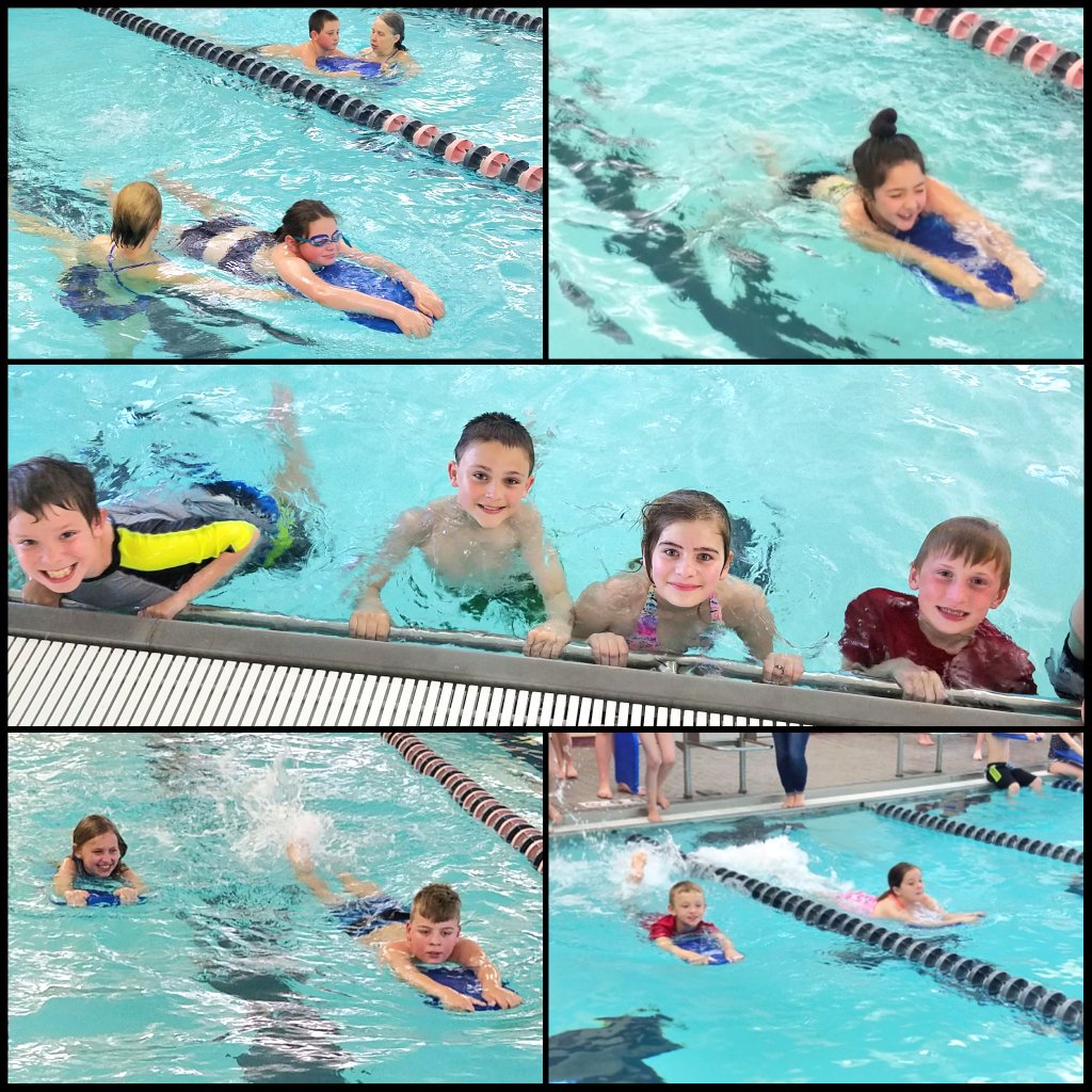 Eckergrade3's tweet photo. Some more pictures of our week of swimming at the YMCA! 🏊😄 #watersafety #becoolfollowtherules https://t.co/D9L7T2c5Qg