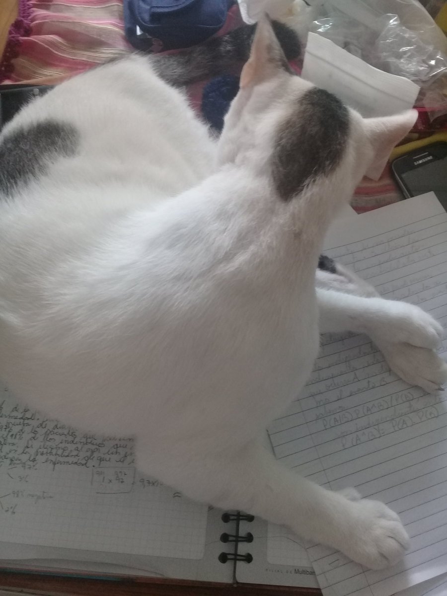 itzelita0204's tweet image. Quiero hacer tarea y... #Labai