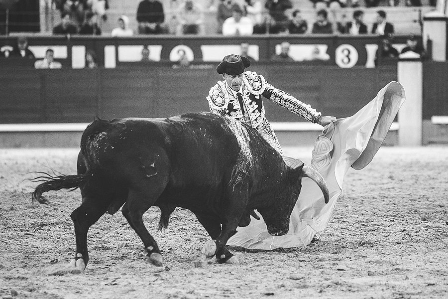 AndresRomeroWeb's tweet photo. El triunfo siempre viene de la mano de la gente que siempre te acompaña. Gracias, @pacomoreno1973 y @ClaudioMiguelns
📸 @cultorocom
#lagentedeRomero #torerazos #SanIsidro2018 https://t.co/MPPveTkZGc