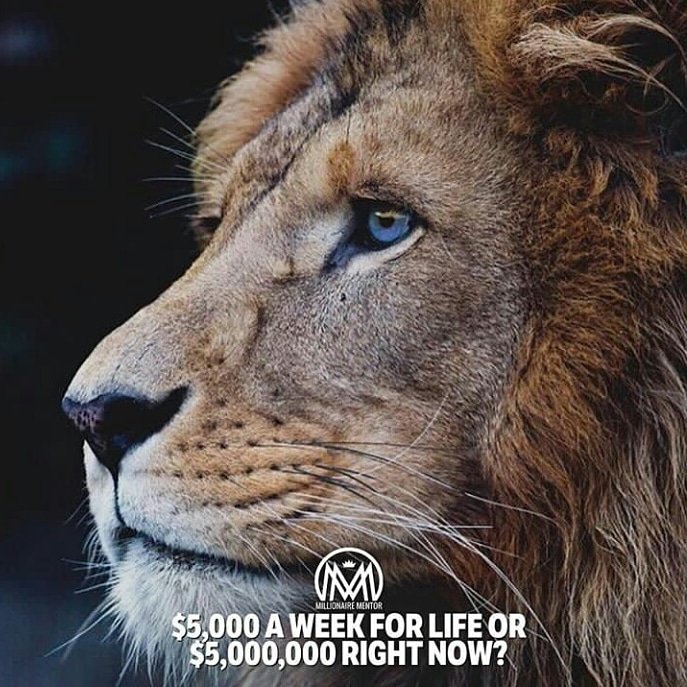 N_everBeTheSame's tweet photo. This will check your decision Making
.
.
.
.
.
#motivation #MotivationMonday #MotivationalSpeaker #motivationalmonday #joinus #socialimpact #advice #salestips #SAP #WriteMentor #PeoplesVote #FinancialInclusion #value https://t.co/lgpb76B51b