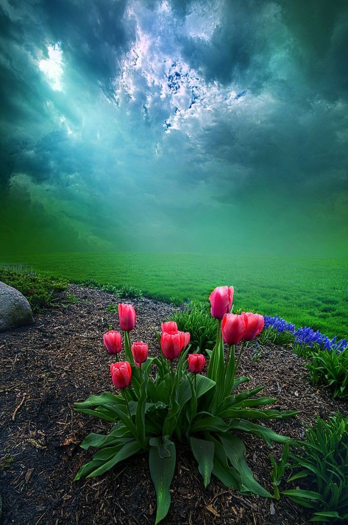 محفوظ متابع بصمت tweet media