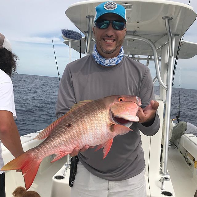 Mirrorlure7m's tweet photo. Slow drifting produced this healthy mutton snapper on pilchards. #muttonsnapper #snook #tarpon #chewonthis #instagramfishing #madeintheusa #saltwaterfishing #eastcoast https://t.co/OVybNollt0 https://t.co/klZl1SRwKW