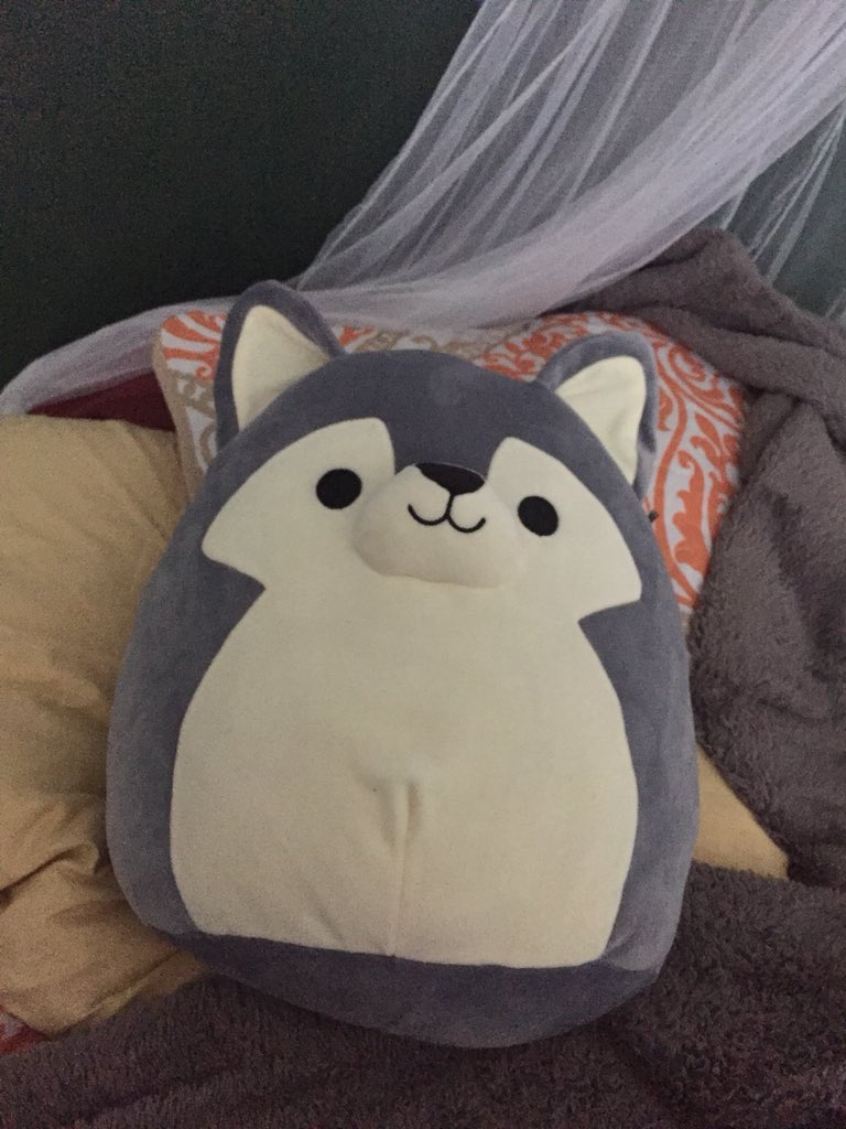 giant tiger squishmallows