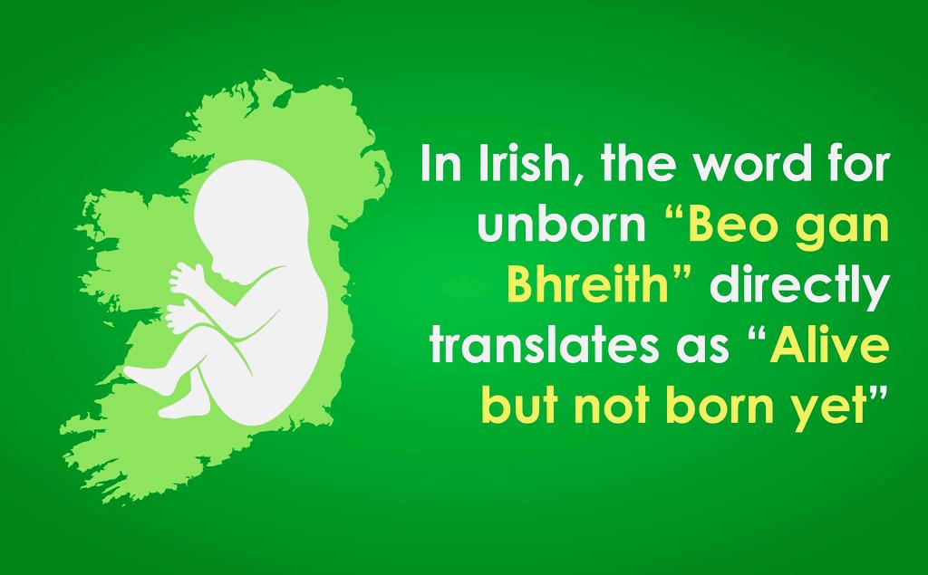 Фоторамка born to be famous. But i is not born. But i is not born. Born to be wild. But i is not born.