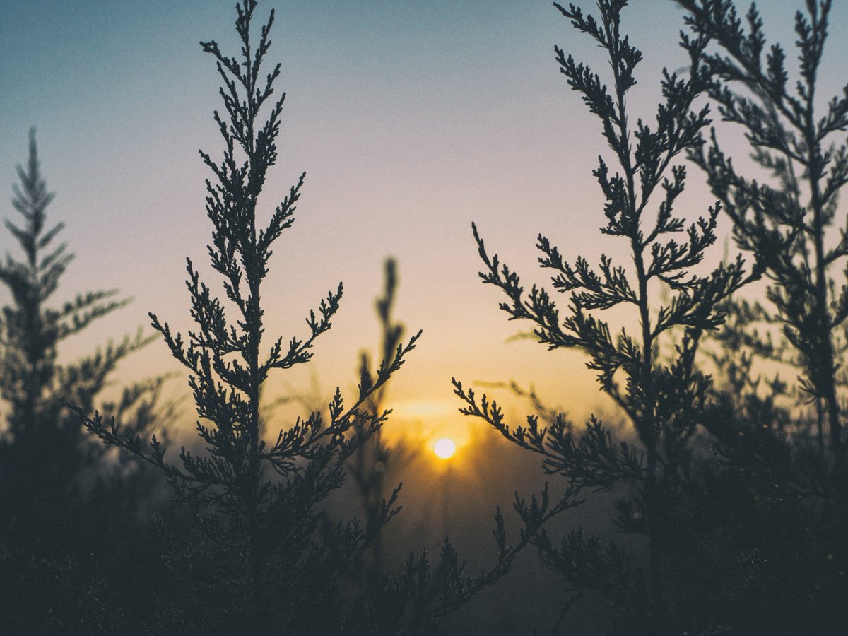 TheMindfulMomnt's tweet photo. "Illuminate original mind, and no other understanding is necessary.” -Zen Master Bankei Yotaku
Subscribe to our channel here: https://t.co/DwMBlWakXH https://t.co/1NZ00pdOhm