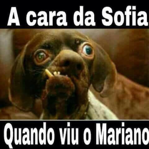 andreialaravoz's tweet photo. @manunicola  https://t.co/wWUzjDBlHp