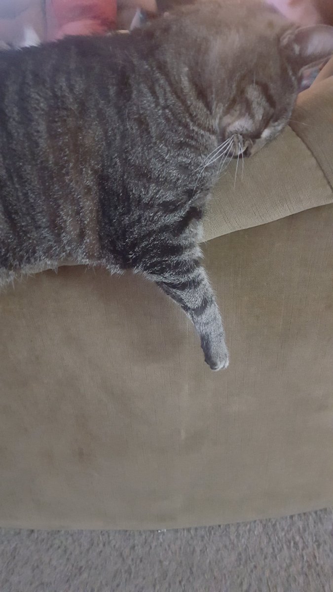 cathaunt's tweet photo. https://t.co/aSnCbOrTTO