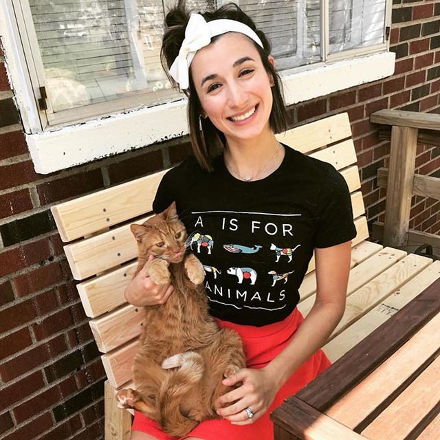 AISFORANIMALS's tweet photo. Happy Caturday! From cutie @michekdickey &amp; co. 😻😻😻 #AisforAnimals #CIsforCats #Compassion #meets #Fashion #ootd https://t.co/uwfVlqIpui https://t.co/wuItfMv2tb