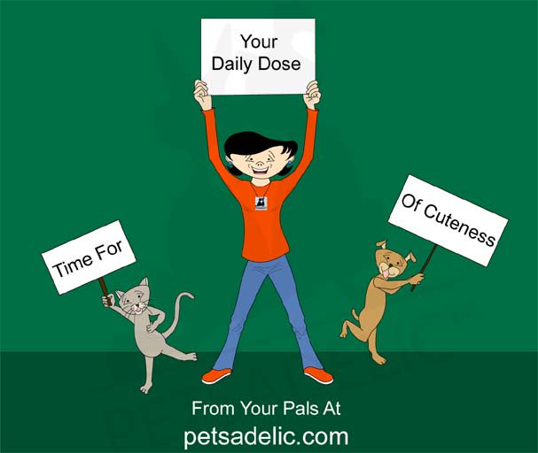 Bret Wilson tweet media