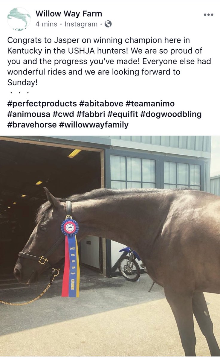 willowwayfarm's tweet photo. Congrats baby Jasper in your success in Kentucky!!!! We are so proud of you! https://t.co/w6hVM3I7Jt
