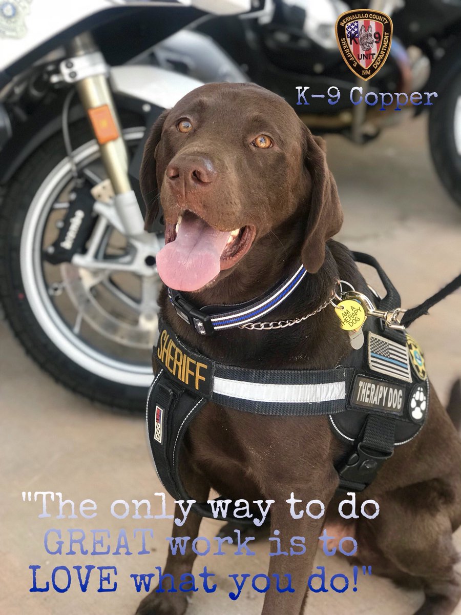 BCSONM's tweet photo. Therapy K-9 Copper wishing you a GREAT Saturday! #DogsWithJobs #K9Copper #TherapyK9Unit #BCSO https://t.co/2fI26Yo8C6