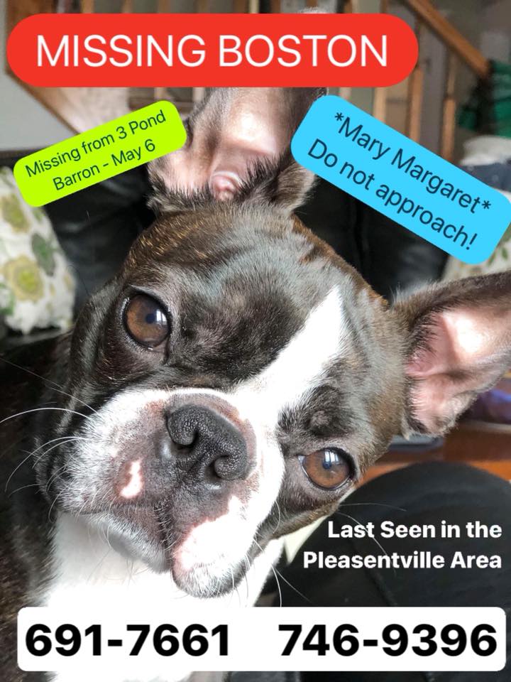 <a href="/KayTLJ/">Kate F</a> <a href="/dwancherry/">Dwan</a> <a href="/RNC_PoliceNL/">Royal Newfoundland Constabulary</a> <a href="/jiffycabs/">Jiffy Cabs</a> <a href="/RCMPNL/">RCMP Newfoundland and Labrador</a> <a href="/VOCMNEWS/">VOCM News</a> <a href="/VOCMOpenline/">VOCM Open Line</a> <a href="/CBCNL/">CBC Newfoundland and Labrador</a> Contact Numbers for immediate response on this: