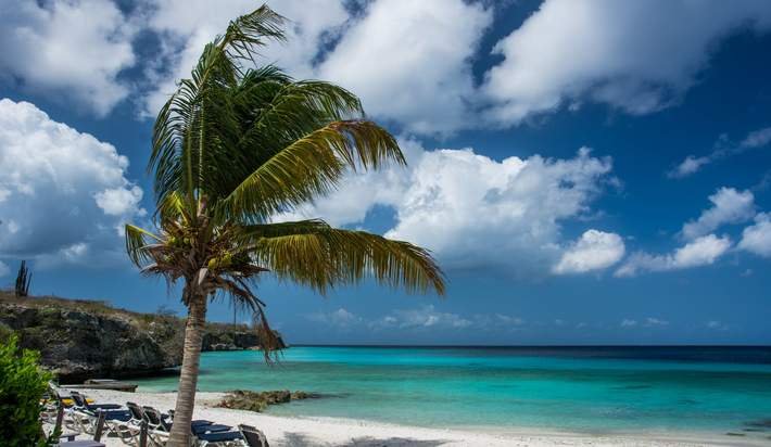 GoDirectHIS's tweet image. Here's why unplugging from work is so important: otbd.it/sj0gdZ2l