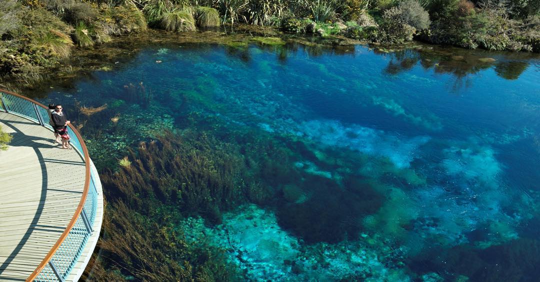 SplitApple's tweet photo. Te Waikoropupū Springs in Golden Bay are the largest cold water springs in the Southern Hemisphere and contain some of the clearest water ever measured. They have a clarity reading of 75m! .#iloveabeltasman #lodgesofnewzealand @travellermade @PureNewZealand @NatGeo @TravelLeisure https://t.co/5WQIj3qLOJ